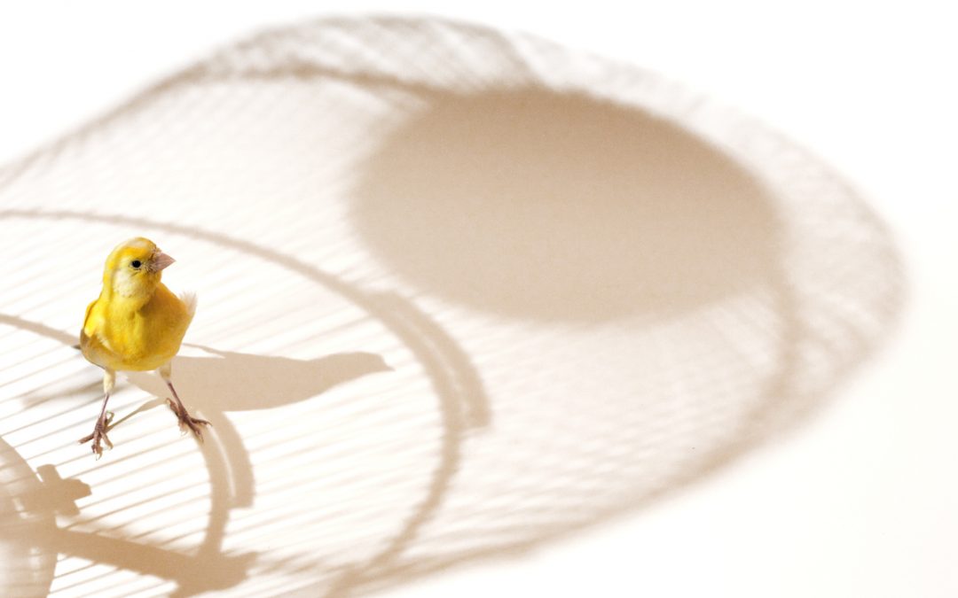 Feeling trapped – how to escape the Cage